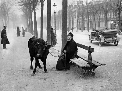 28 March 1918 - Old woman who fled the war zone with her cow