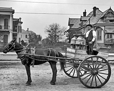 1903 - Milk delivery on Esplanade Avenue
