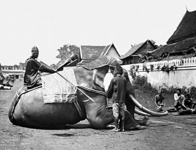 1866 - War elephant