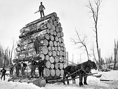 1890 - Michigan loggers