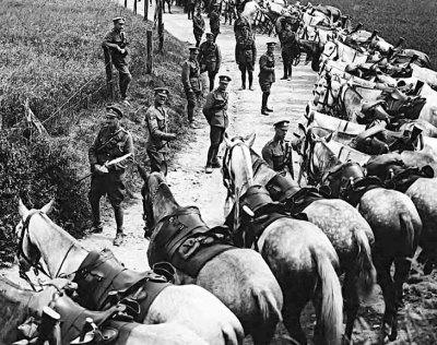 1914 - British cavalry regiment resting their horses