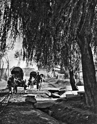 1879 - Carts on the road to Beijing