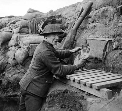 6 February 1918 - Gunner with the regimental cat