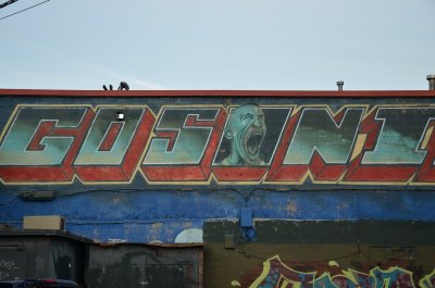 DSC_8082.jpg