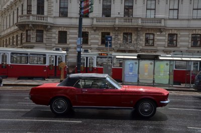 DSC_8695.jpg