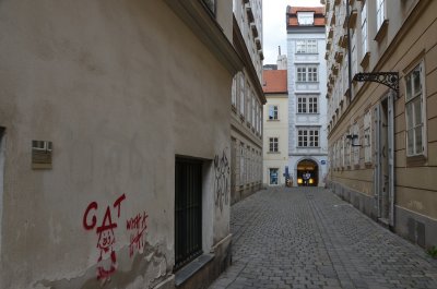 DSC_8784.jpg