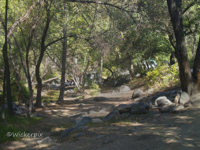 YOUTopia O 039w.JPG