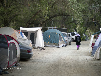 YOUTopia O 253w.JPG