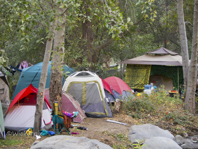 YOUTopia O 256w.JPG
