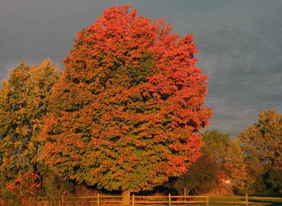 A Swath through New Hampshire, Vermont and Upstate New York