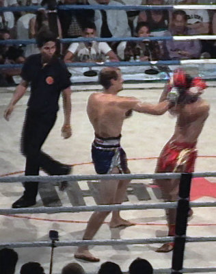 muay thai boxing.jpg