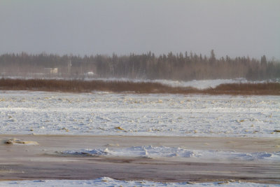 Looking across the Moose River from Moosonee 2014 January 8th.