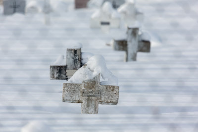 Christ the King Cemetery