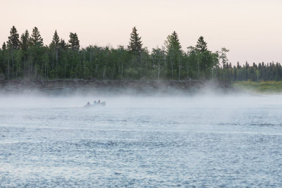Canoe heads into fog as it turns around sandbar.