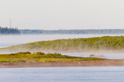June 21st low lying fog looking up the Moose River.