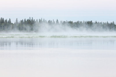 Fog drifting on the Moose River before sunrise.