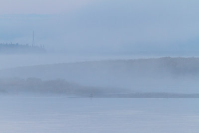 Looking up the Moose River in morning fog. Might be a bald eagle at centre bottom.