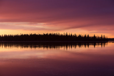 Butler Island around sunrise May 5th