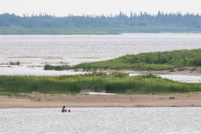 Looking up the Moose River; swimmers on the sandbar.