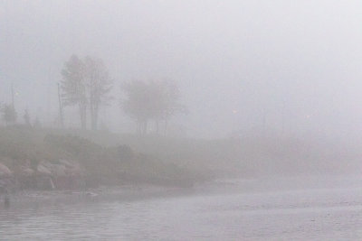 Shoreline on a foggy morning