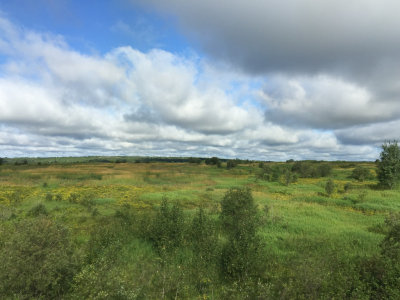 Fields north of Cochrane.