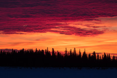 Sky before sunrise 2016 March 8th