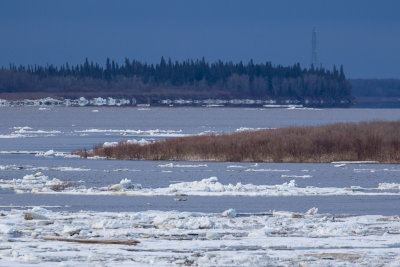 Looking up the Moose River towards hydro tower 8 am 2016 May 7th.