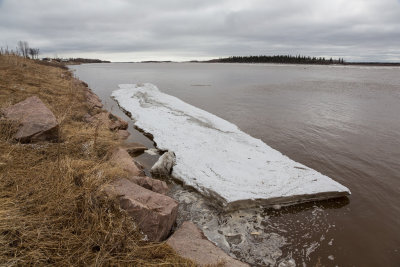 Big chunk of ice along the Moose River shoreline 2016 May 7th. Looking down river.