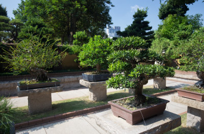 _MG_5524.jpg