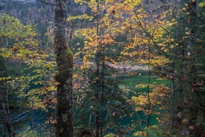 20151015-_DSC1082.jpg