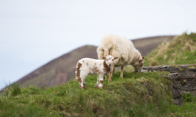 Exmoor National Park, UK - April 2016