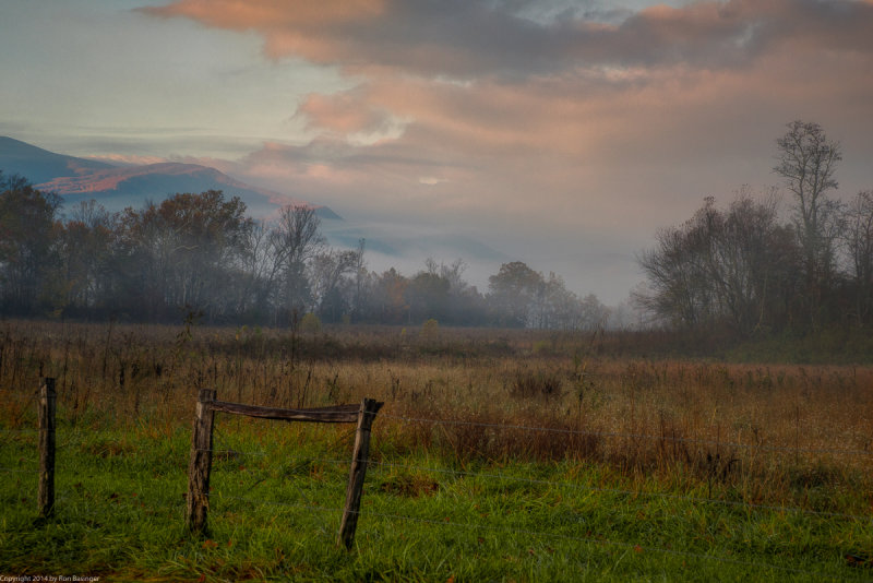 Early Morning in Cades Cove