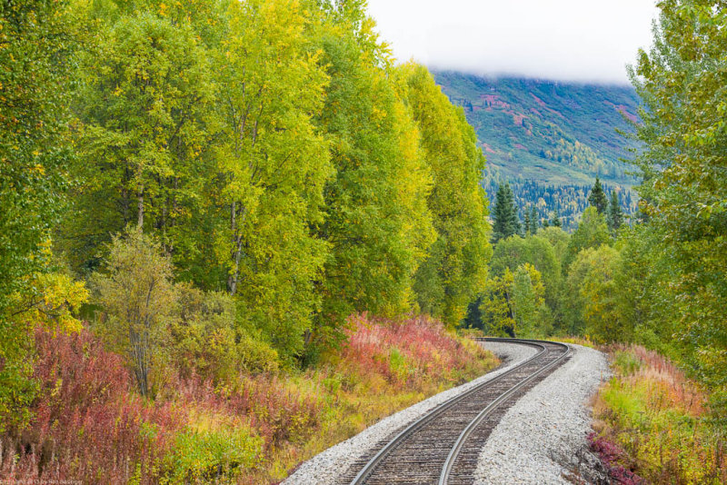 Train to Denali