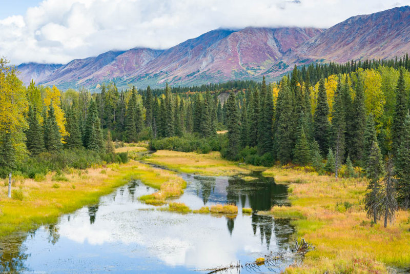 Train to Denali