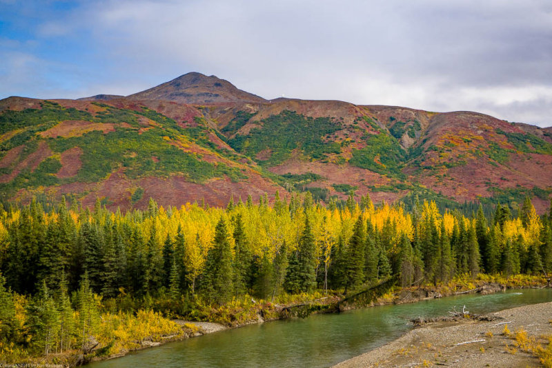 Train to Denali