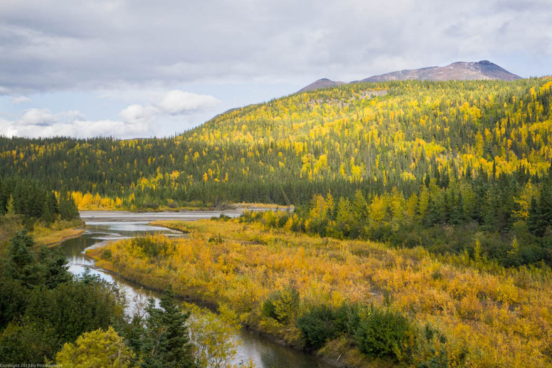 Train to Denali