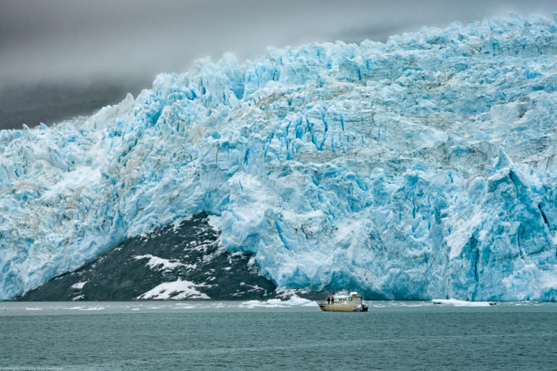 Aialik Glacier