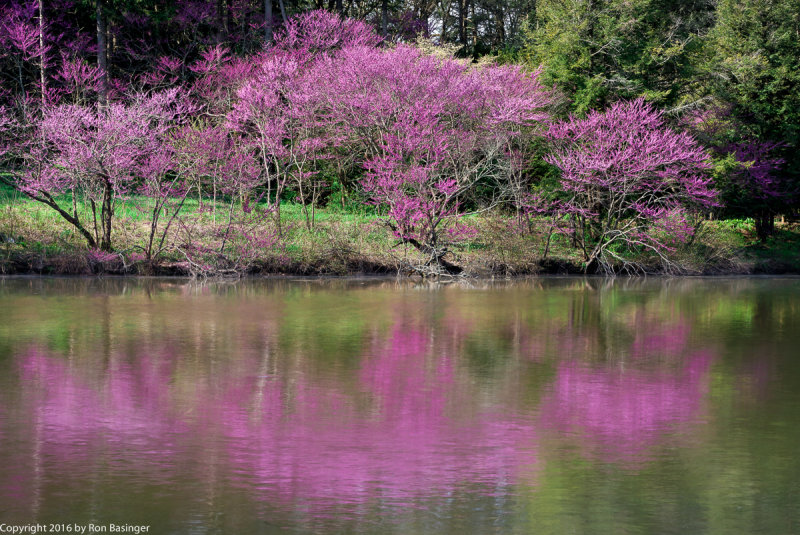 Reflections