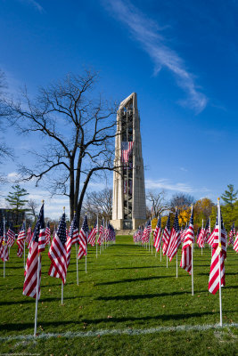 Veterans Day