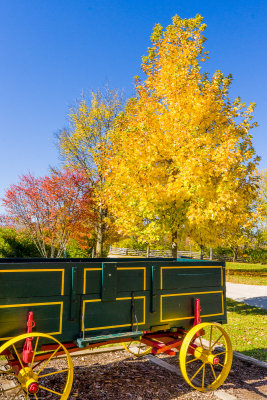  Fall in Naperville