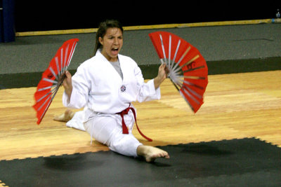 2014 U.S. Open Taekwondo Hanmadang