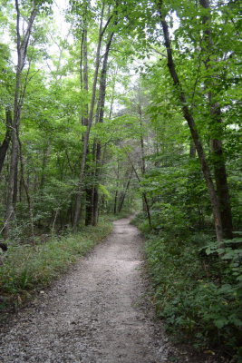 Lost Trail Hike, Scenic Shot (Wife)