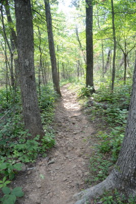 Trail Leading In To Pedestal Rocks King's Bluff