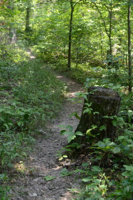 Trail Leading In To Pedestal Rocks King's Bluff