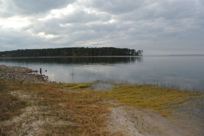 (20141213_172906_nl_j1)