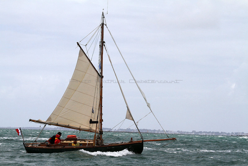 3619 Semaine du Golfe 2013 - IMG_6657 DxO Pbase.jpg