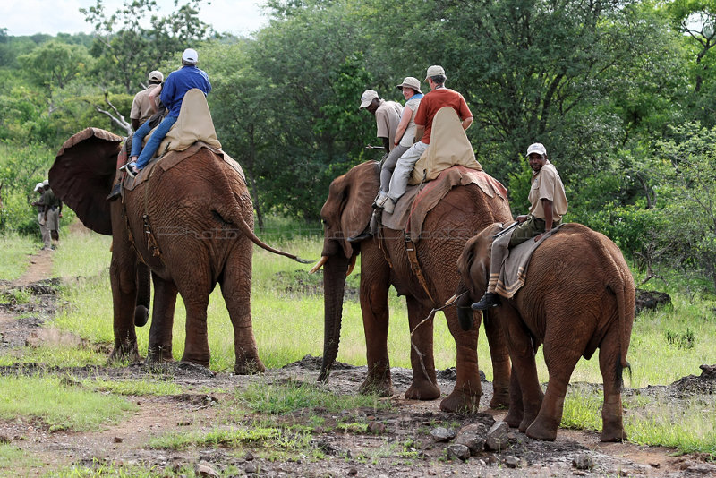 5271 Two weeks in South Africa - MK3_3306_DxO Pbase.jpg