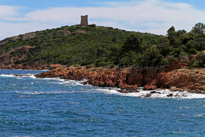 260 Une semaine en Corse du sud - A week in south Corsica -  IMG_8137_DxO Pbase.jpg