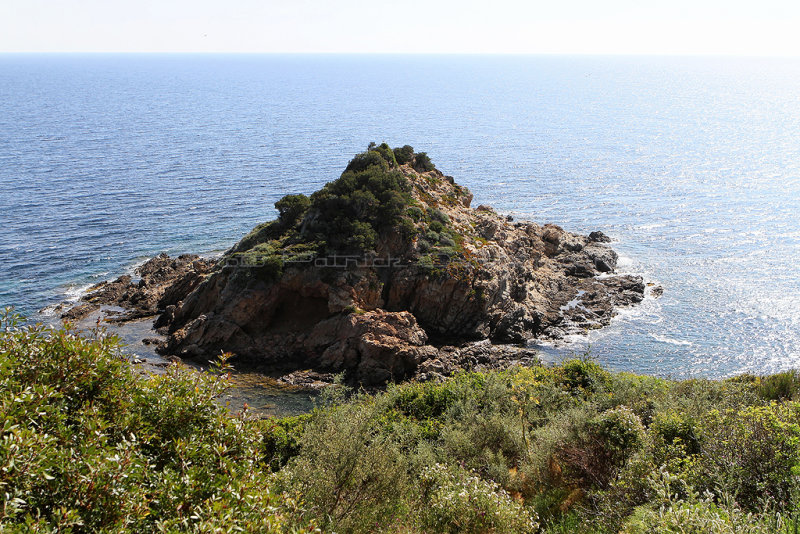 1163 Une semaine en Corse du sud - A week in south Corsica -  IMG_9061_DxO Pbase.jpg