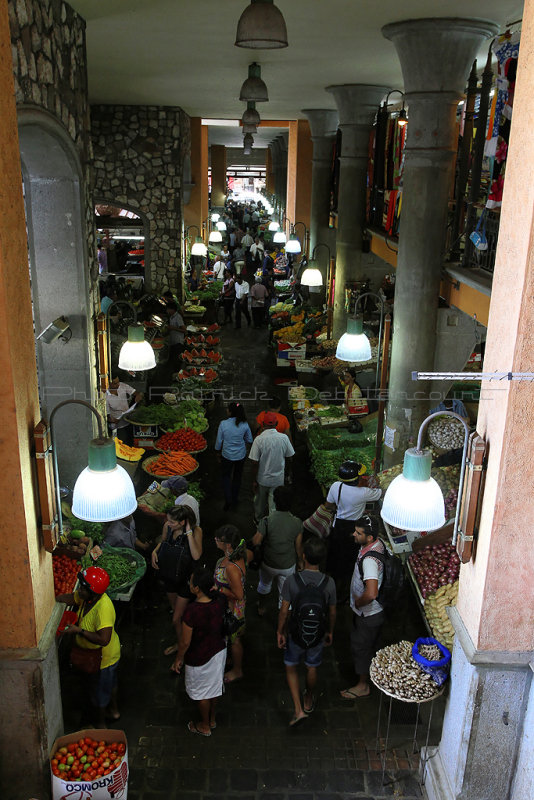 684 Mauritius island - Ile Maurice 2014 - IMG_5111_DxO Pbase.jpg